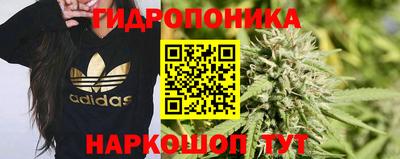 хмурый Донской