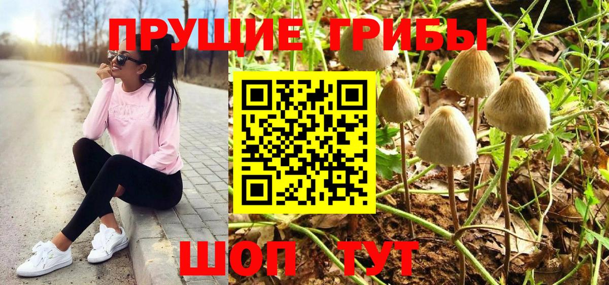 Галлюциногенные грибы мухоморы  Вход с VPN  Псилоцибиновые грибы мухоморы  наркотики  Лесосибирск 